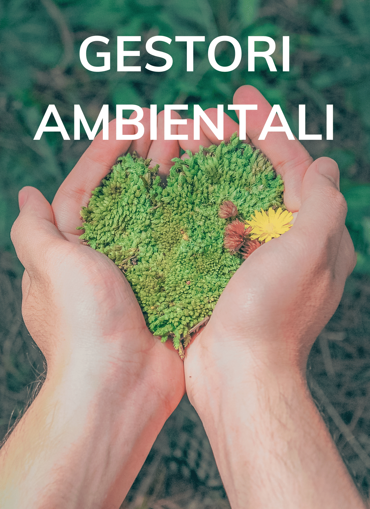 gestori ambientali